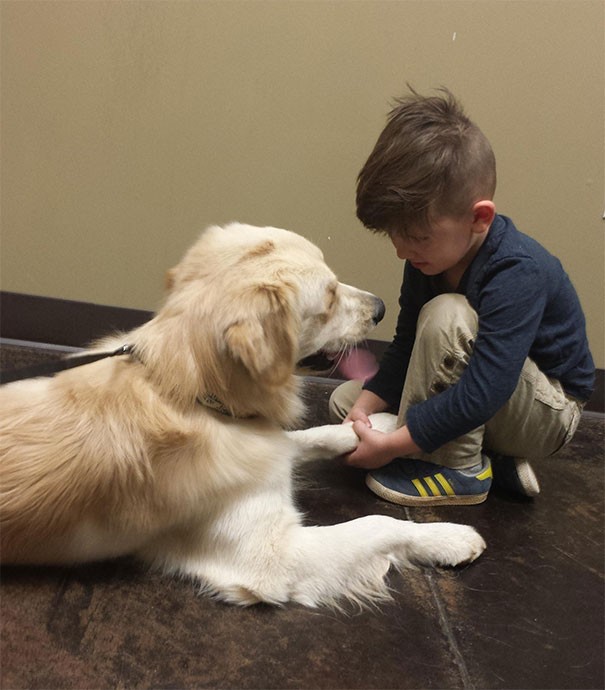 21. My son gives an encouraging talk to his dog before it goes in to see the vet.