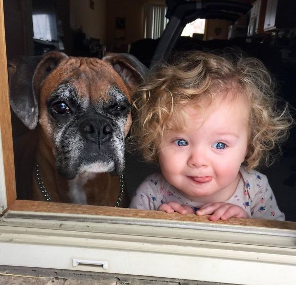 24. Minha filha e nosso cachorro observando a primeira neve da estação.