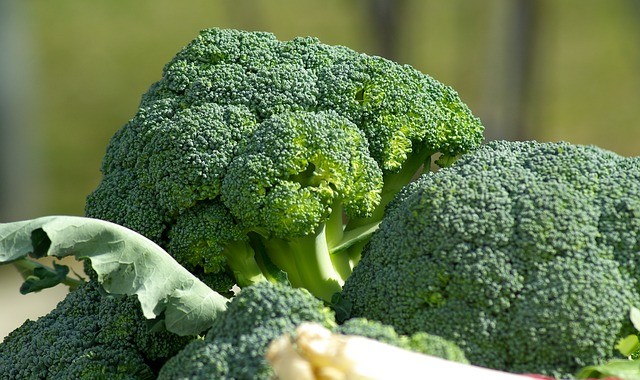 10. Broccoli