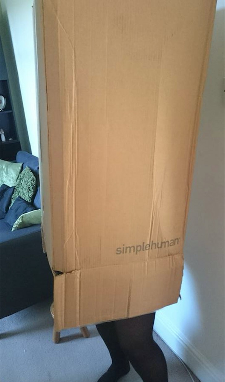 " My girlfriend spent 20 minutes in this box playing, running and dancing ... Then I saw the name of the cardboard company (simplehuman) and I thought it was perfect for the occasion."