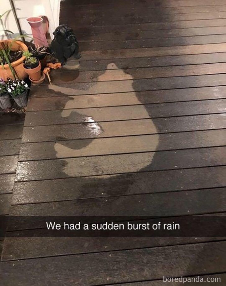 "We had a sudden burst of rain ..."