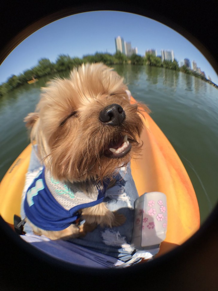 A questo cagnolino piace decisamente andare in canoa...