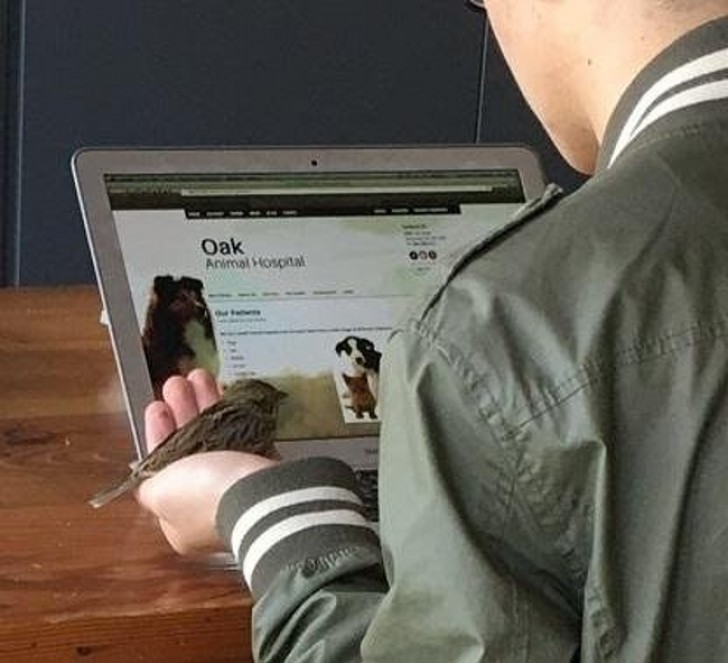 I was in a bar when I saw a guy who was using his laptop to look for information to heal a little bird he had just saved.