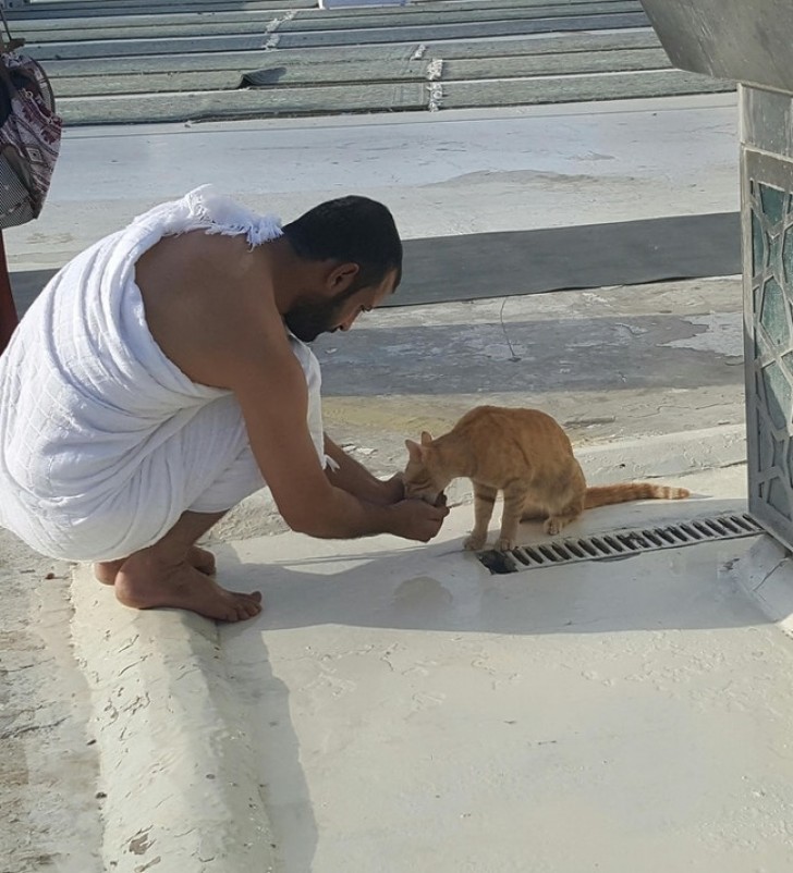 O gato tinha sede, então este homem foi e voltou várias vezes para fazer ele beber das suas mãos.