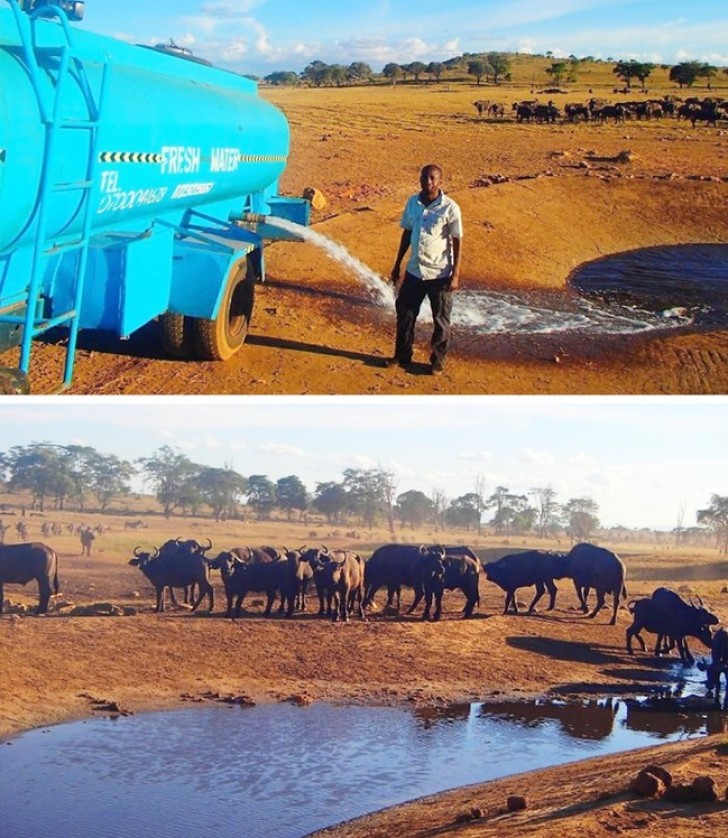 Deze man reist tientallen kilometers per dag in de Afrikaanse hitte om de dieren te redden van droogte.