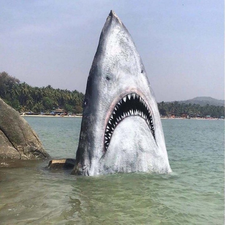 Será que esta pedra em forma de tubarão já assustou muita gente?