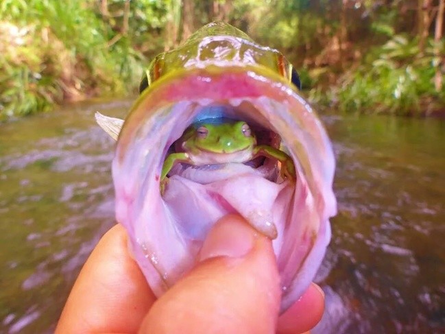 A la pêche de bars...