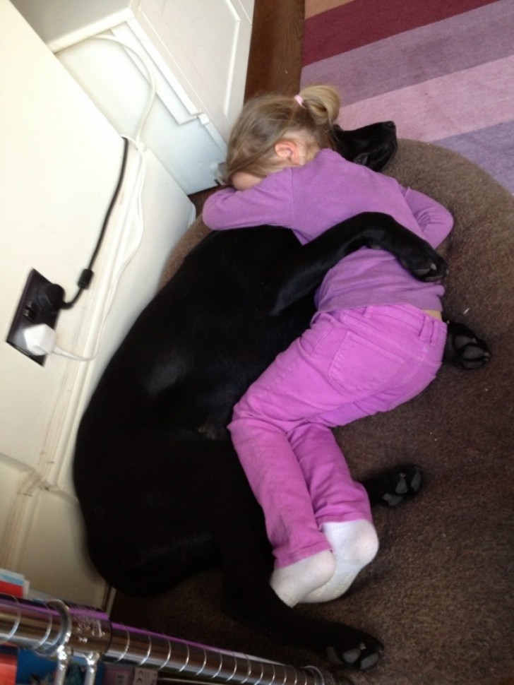 Per questo adorabile duo il rientro a casa dalla scuola prevede sempre qualche minuto di coccole...