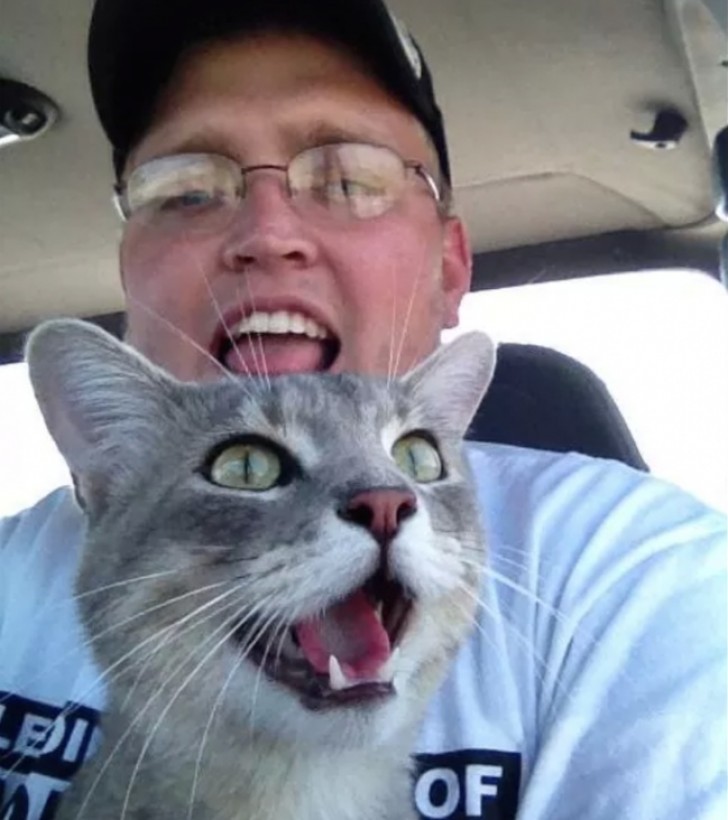 Most cats hate being dragged away from home! Instead, this cat follows his owner everywhere and is overjoyed!