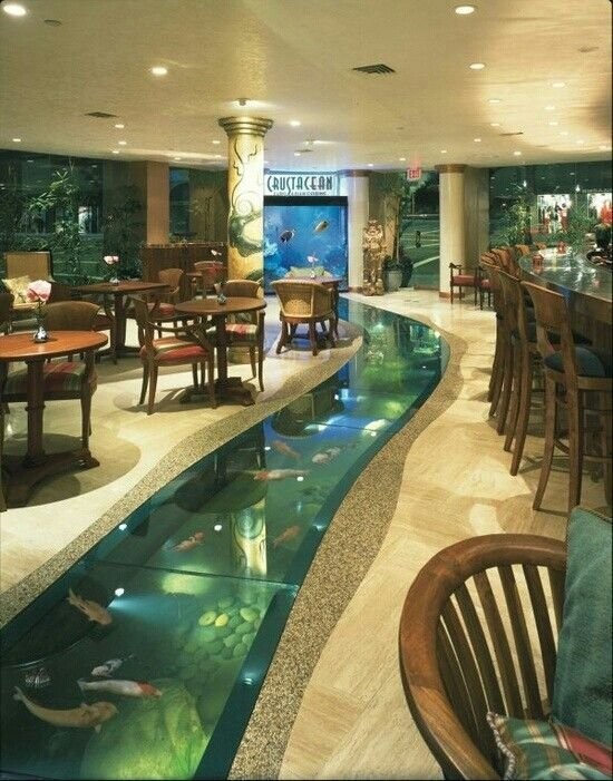 Here is something different --- an aquarium built into the floor so the customers can imagine that the sea is under them!