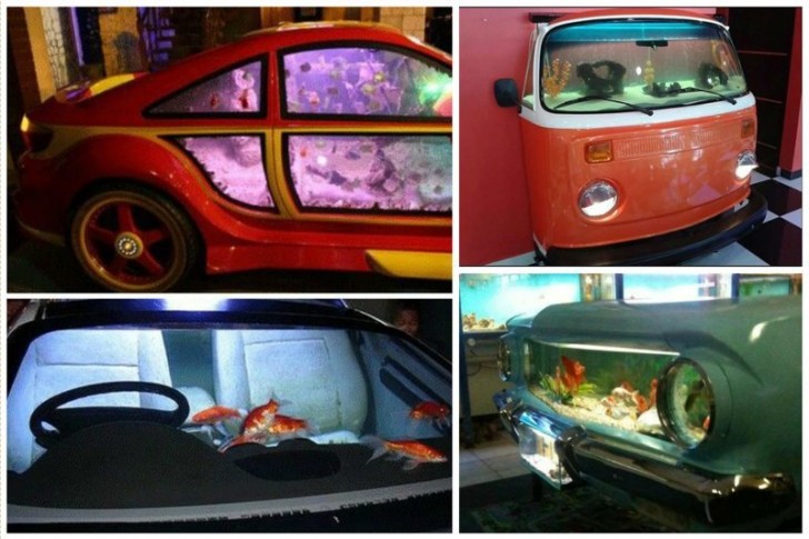 Love cars as well as aquariums? There is something for you too!