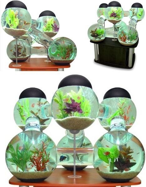How about this bubble lamp fish bowls?