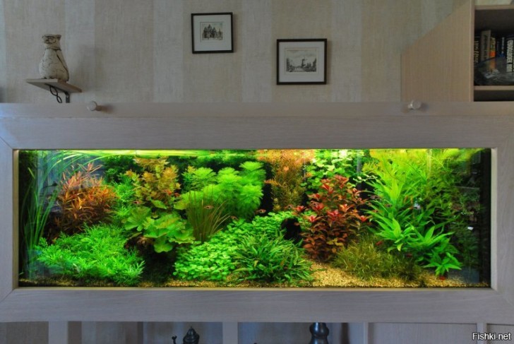 E um aquário de parede com muita vegetação.