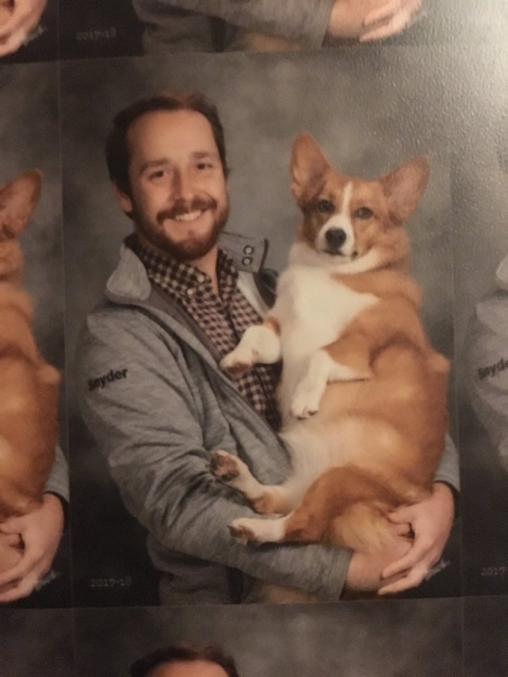 "Le fiancé de mon amie est un enseignant qui emmène tous les jours son chien Banjo à l'école avec lui. Moins d'enseignants avec les armes , plus d'enseignants avec les chiens Welsh Corgi!"