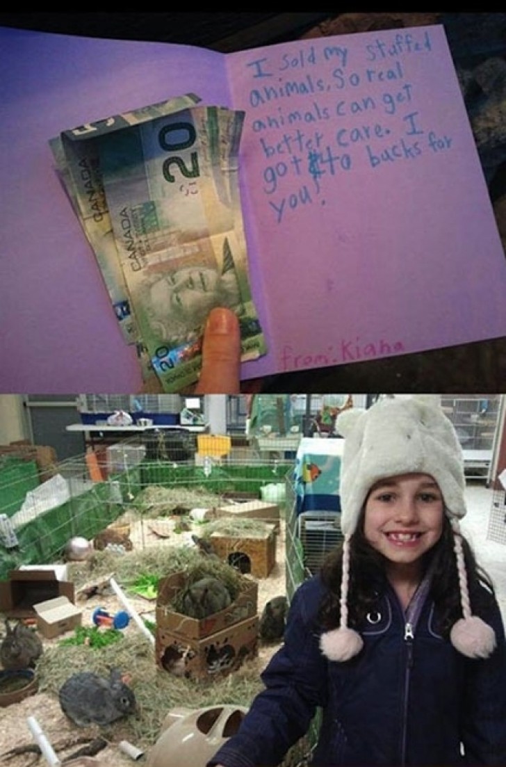 "Mi hija me ha pedido si podia vender sus peluches y donar el dinero recaudado al refugio para animales de la ciudad. Obviamente le he dicho que podia!".