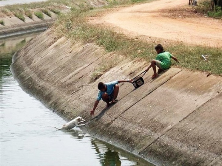 Estos dos niños se las ingeniaron para lograr salvar a un perro que se estaba ahogando.