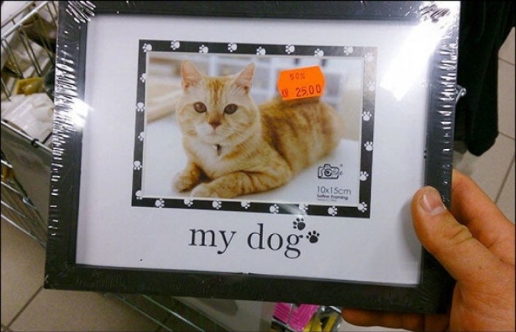 "My <dog>!?"