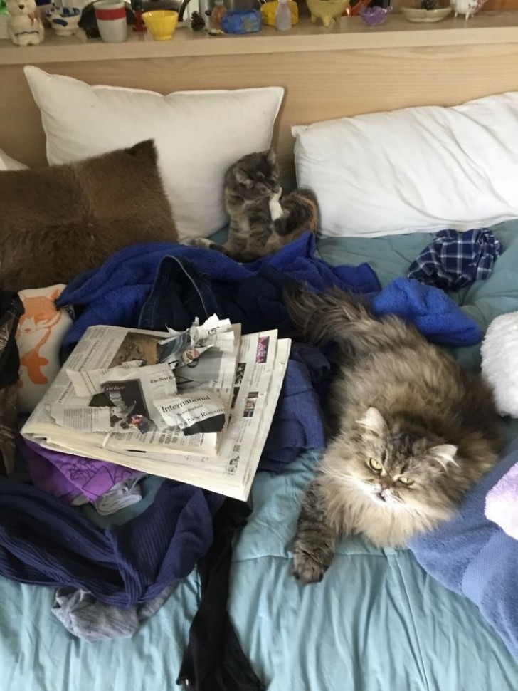 Mother and child decide it's time to play with the newspaper over a pile of my clean clothes!
