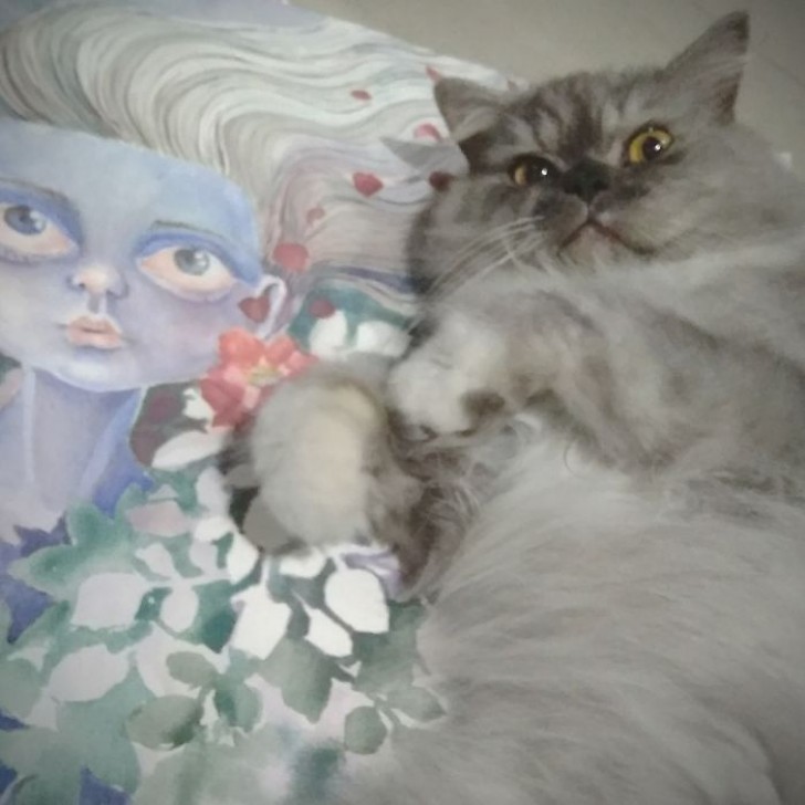 Mon chat AIME mes créations artistiques.