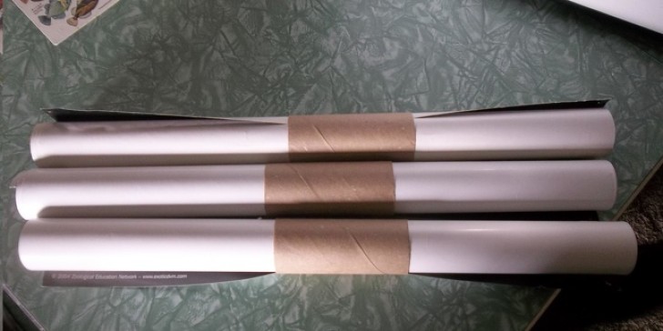 Empty cardboard tubes of toilet paper are used to keep posters rolled up!