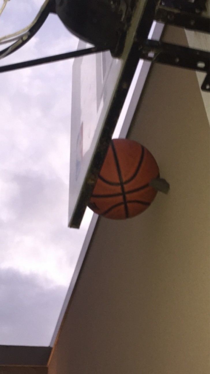 The basketball was stuck so he threw a stone to try to displace it ...