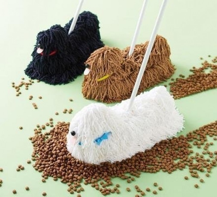 Be careful not to confuse the dog with the mop!