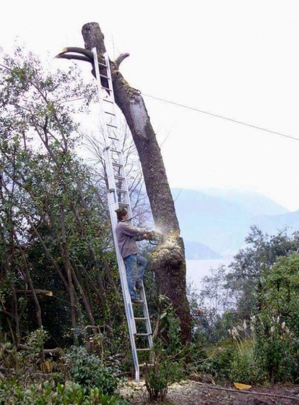 Alguno puede ir a decirle antes que se encuentra en la tierra?