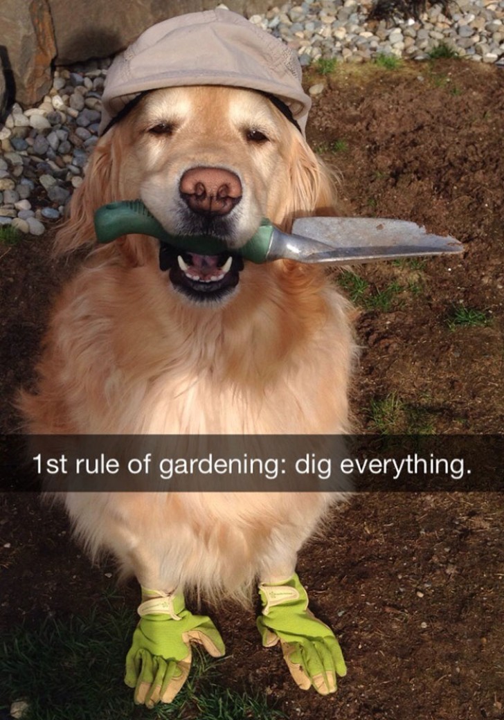 Jetzt gehts in den Garten.