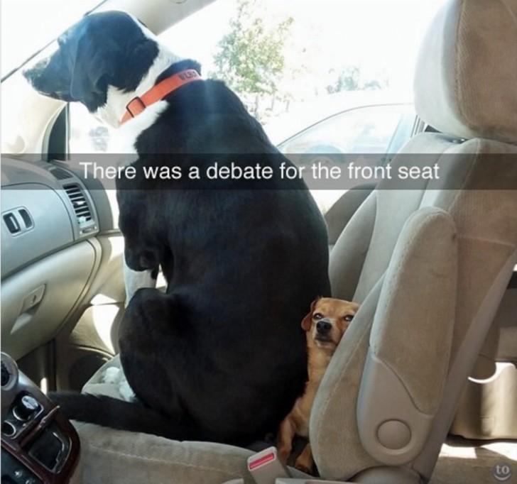 There was a debate for the front seat ...