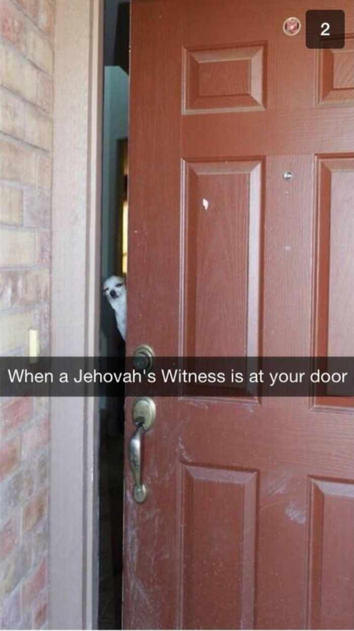 When a Jehovah's Witness is at your door ...