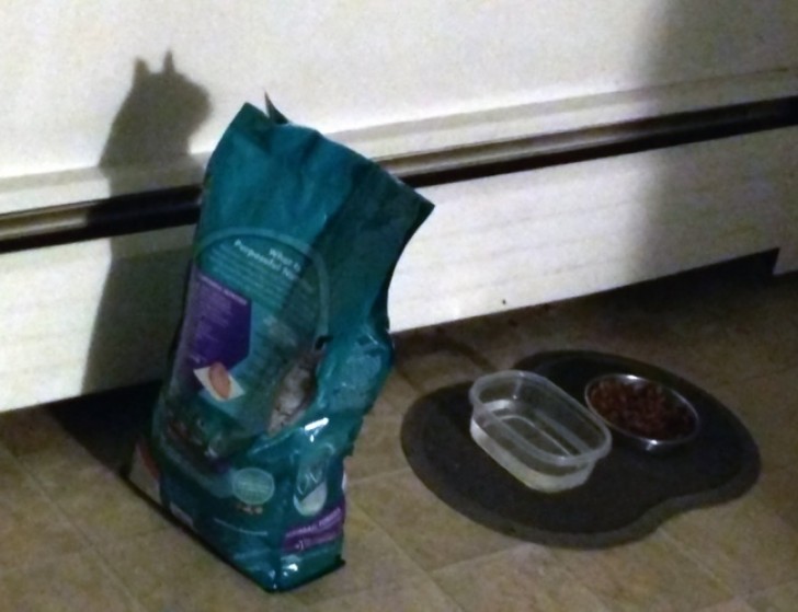 Look at the shadow of the bag of croquettes!