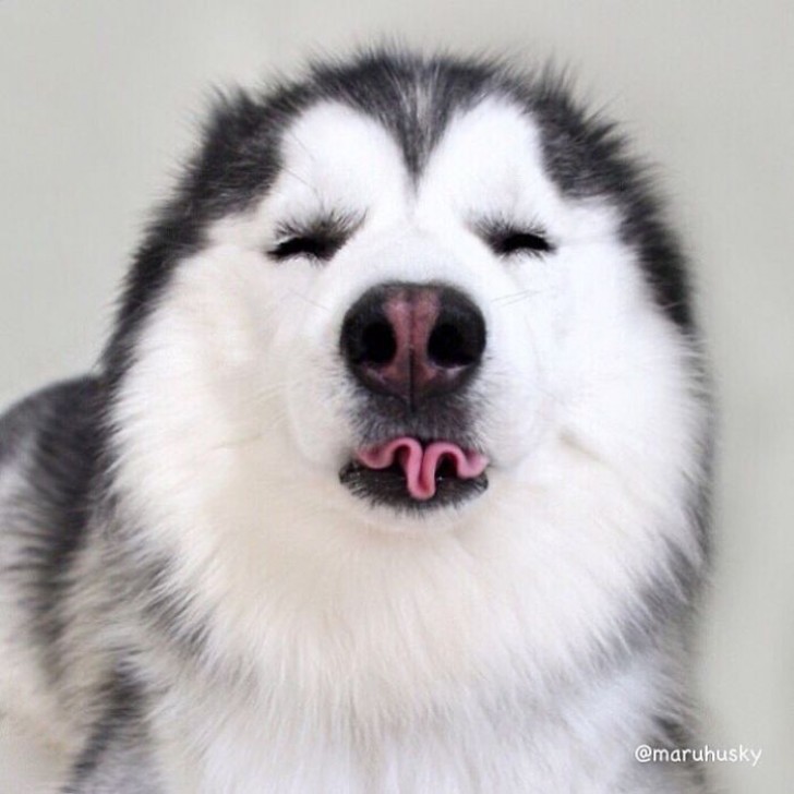 Can you do this with your tongue?