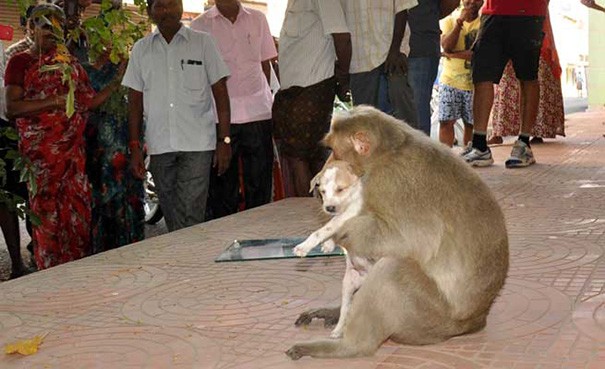 For now, the testimonies of the locals speak of a particular bond, which has touched everyone.