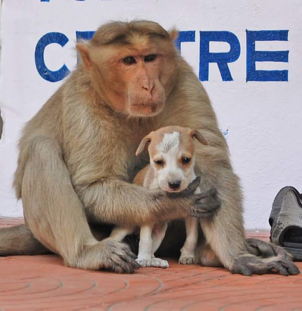 Se as pessoas estiverem dispostas a ajudá-los, pode ser que esta amizade e amor, durem para sempre.