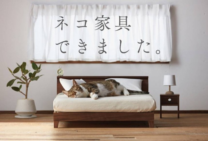 Nel tentativo di risollevare un'industria di nicchia che va al rilento, la città di Okawa ha realizzato una campagna pubblicitaria in cui mostra questa speciale linea di arredamento per gatti.