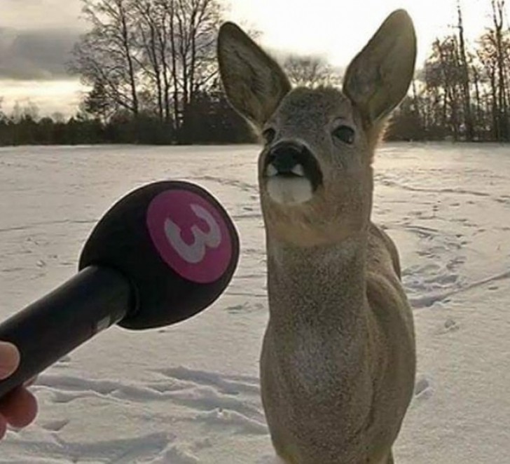 1. O que você acha da mudança no clima?