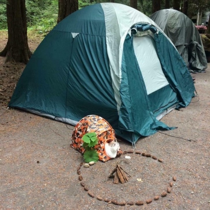 21. We will also do this the next time we go camping