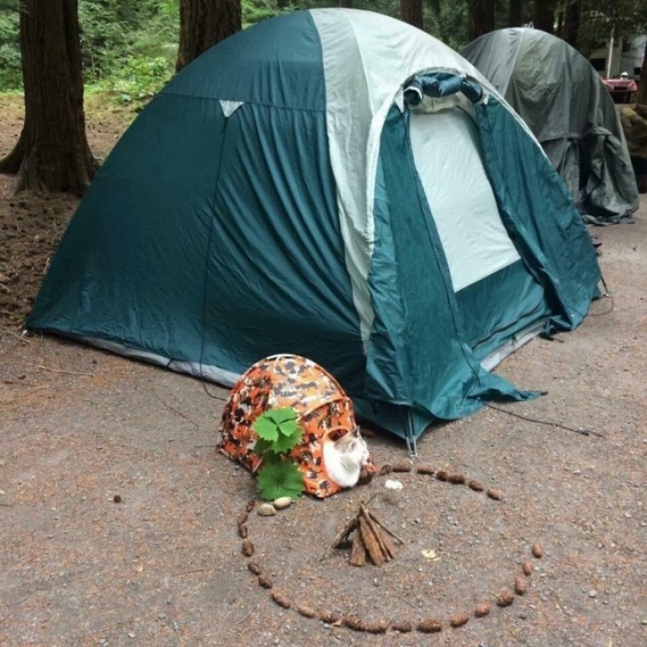 21. De volgende keer doen wij dat ook als we naar de camping gaan