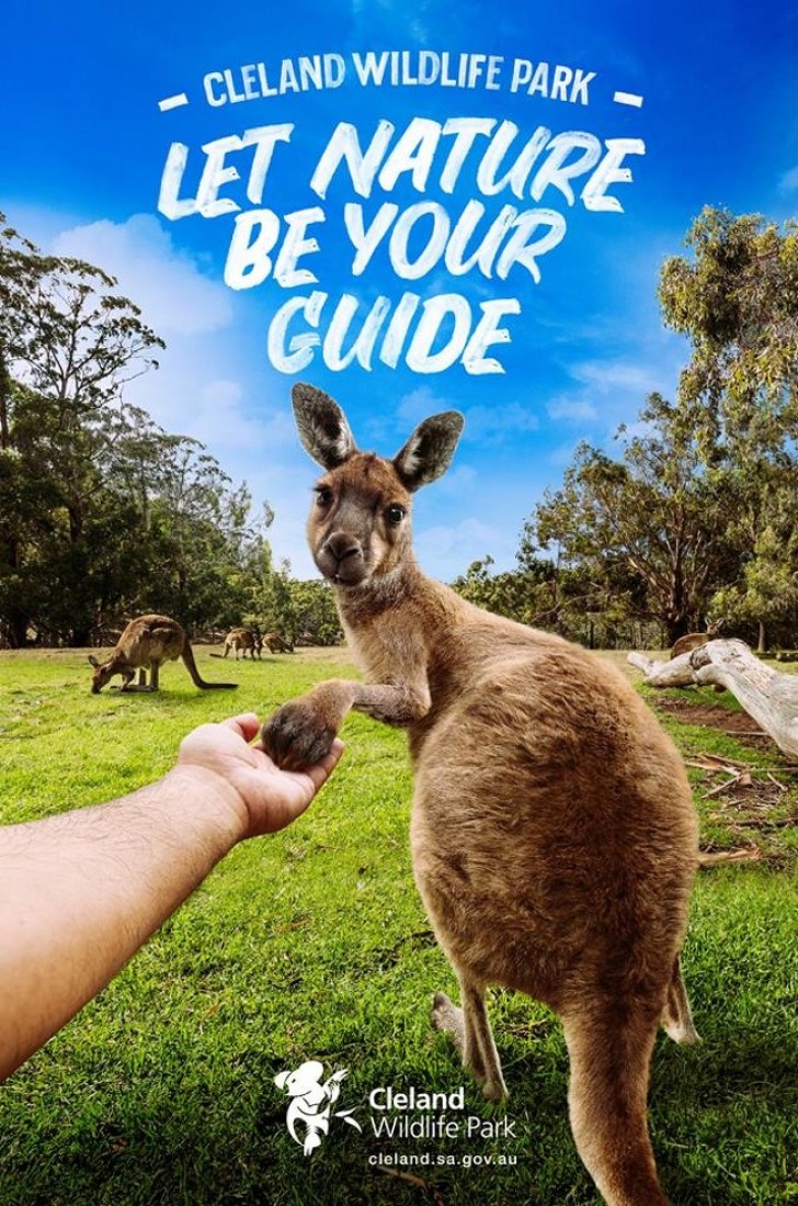 "Let nature be your guide" --- A flyer for a wildlife park where visitors can observe animals in their natural habitat.