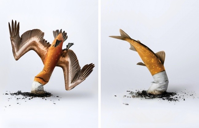 As restos de cigarro destroem o meio ambiente.