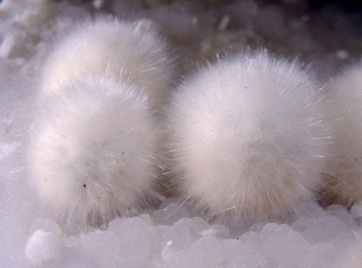 1. These "fluffy balls" are actually silicate mineral formations called okenite!