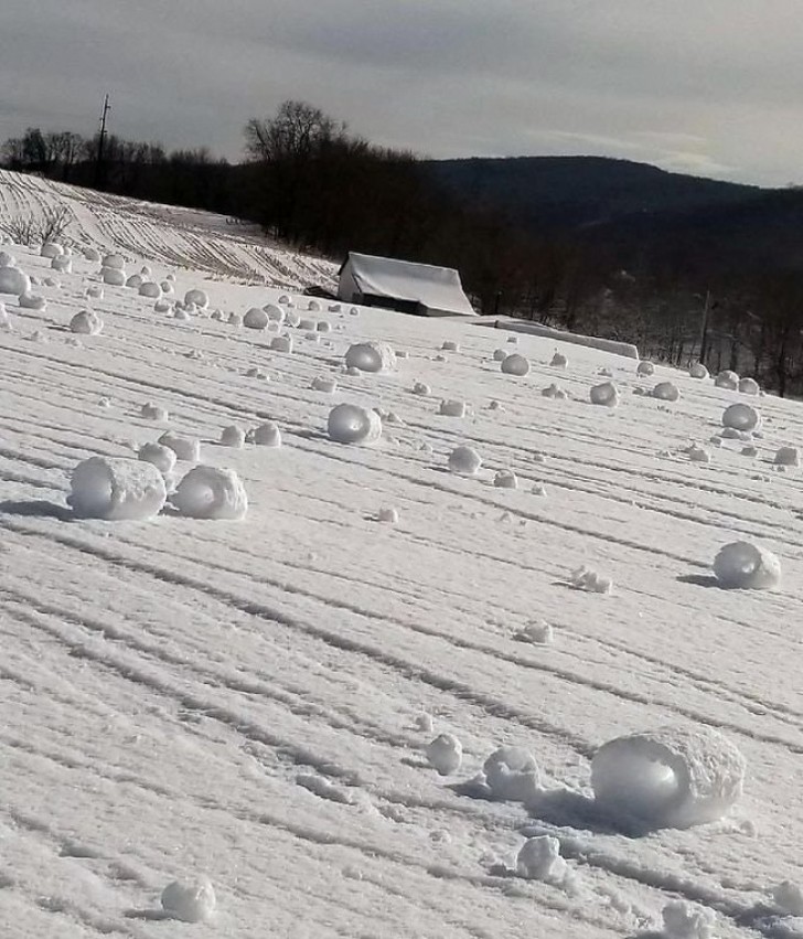 3. Ihåliga snöbollar som har bildats av vinden.