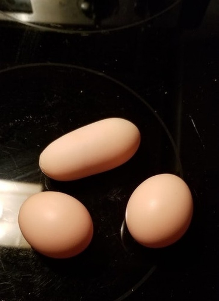 8. Han visto alguna vez un huevo con esta forma?