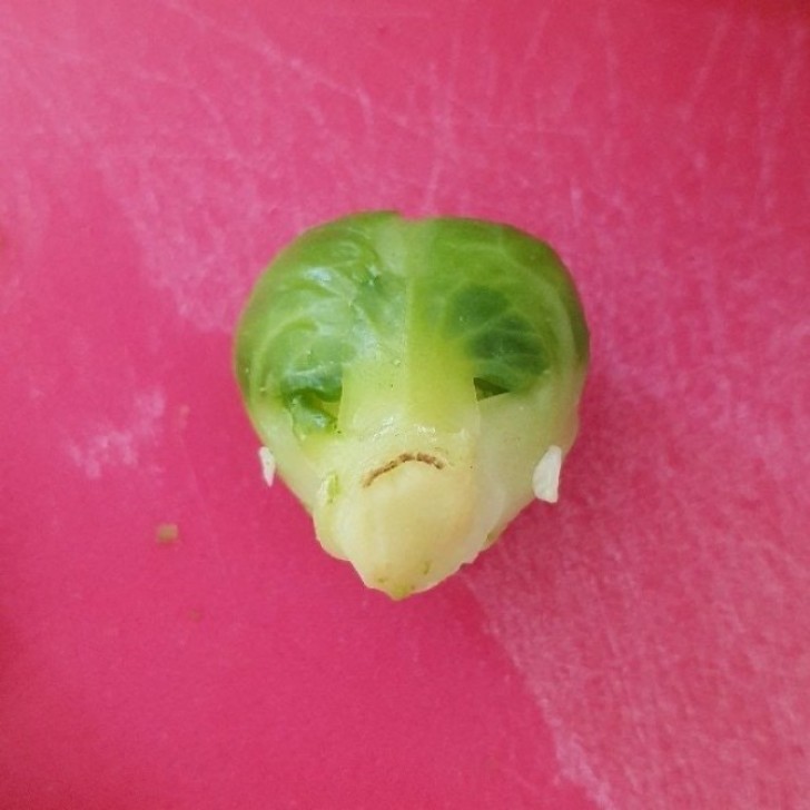 8. A sad Brussels sprout that looks like an alien!