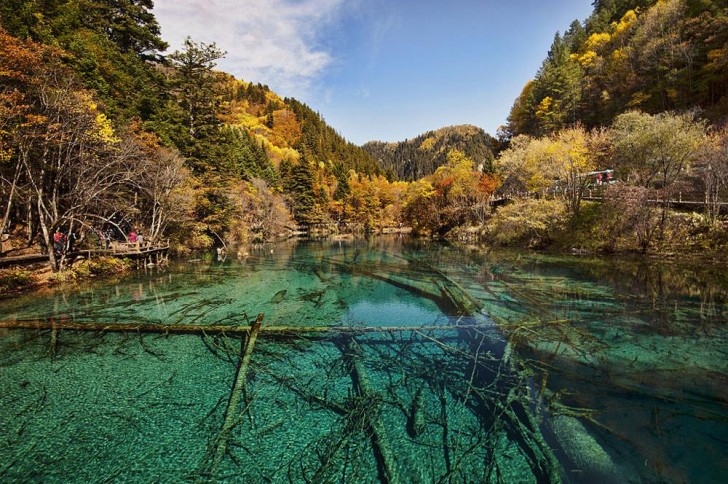 8. Lago dei Cinque Fiori nella valle di Jiuzhaigou, in Cina.