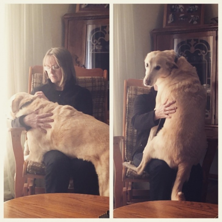 "Mijn hond houdt van knuffelen. Als je haar niet knuffelt, gaat ze naar iemand anders, en dan kijkt ze of je niet jaloers bent".