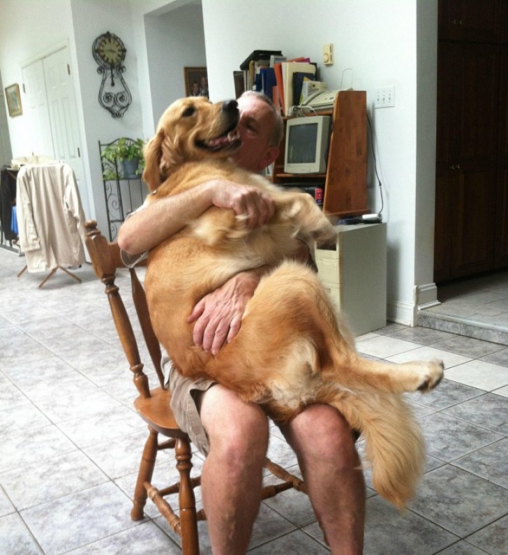 "My dog ​​got scared when we clipped her fur, so my dad had to spend a long time calming him down ..."