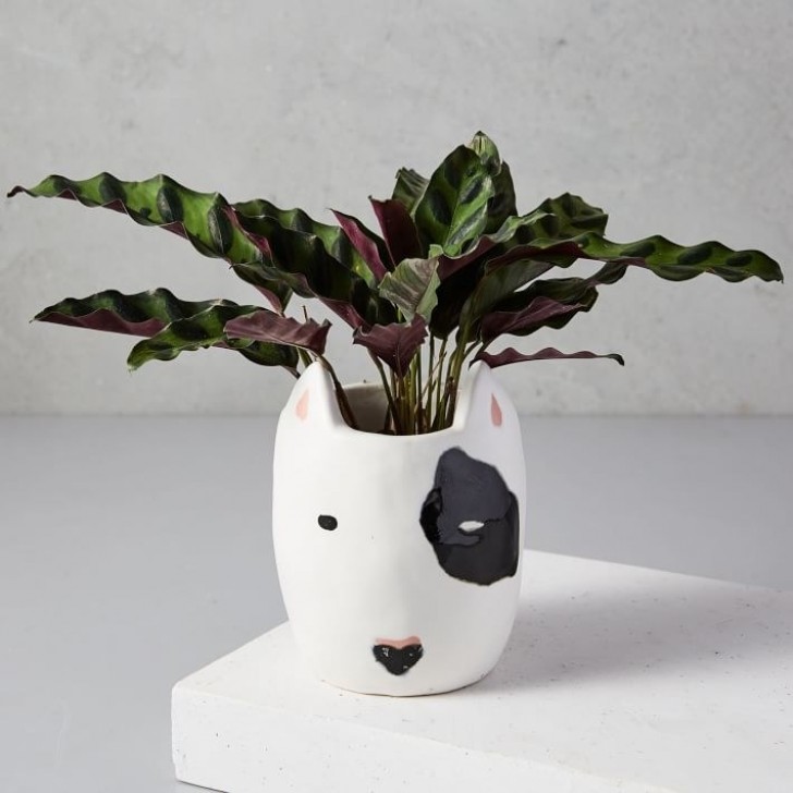 This plant pot will definitely not go unnoticed!
