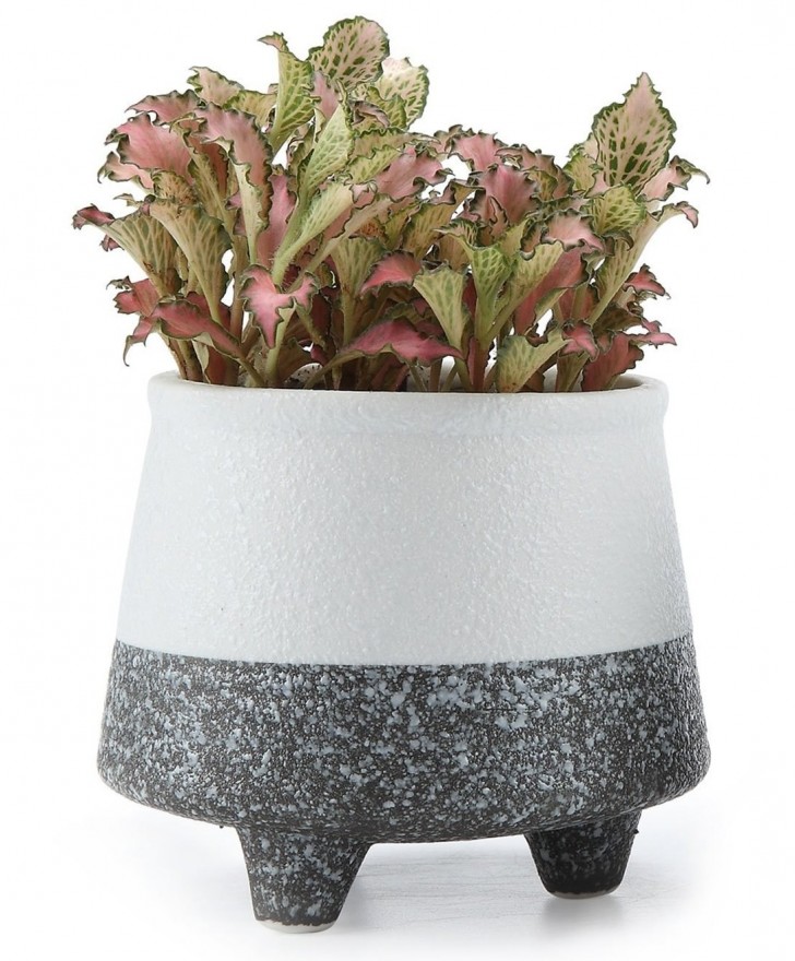 Not just any plant pot --- this is what you need!