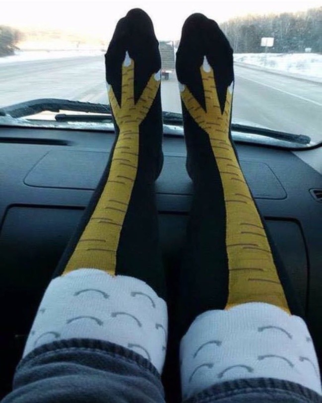 These "chicken coop" socks ... are decidedly original